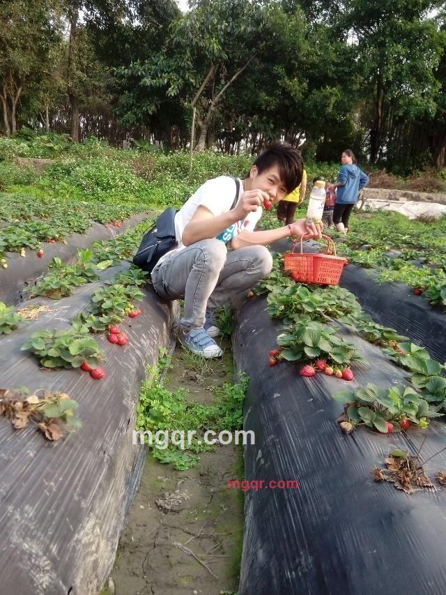 奔跑吧自由的第6张照片