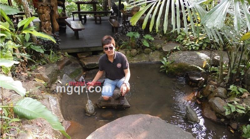 永恒梦幻的第1张照片