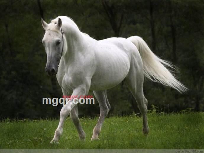 虹东的第1张照片