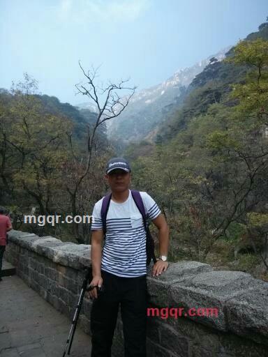 孤独垃圾箱的第2张照片