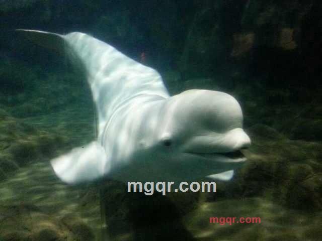 欢乐时光的第2张照片