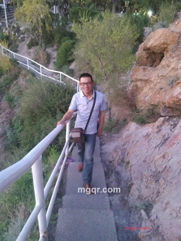 新疆野鸟的第2张照片