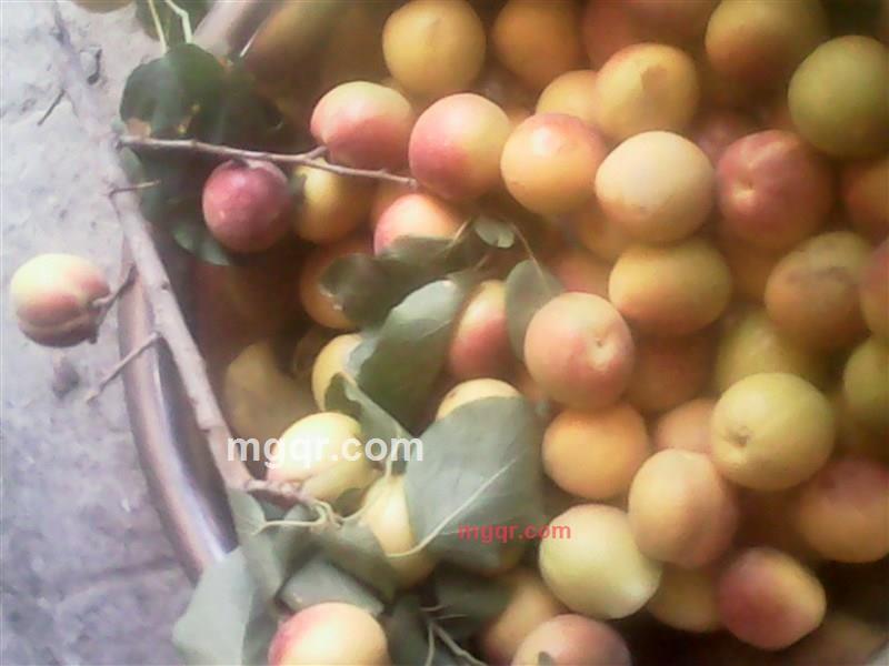 神爱密情的第1张照片