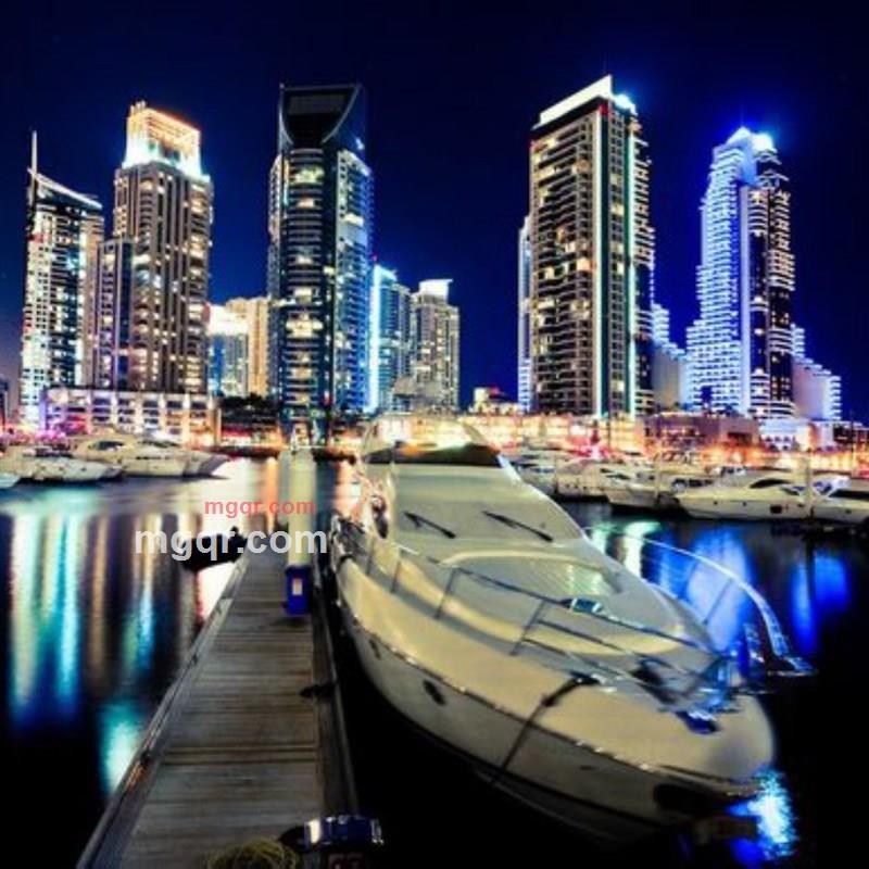 凤恋梧桐的第4张照片