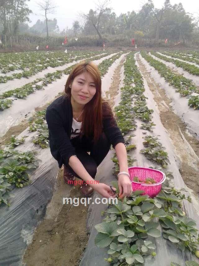 情爱3人行的第2张照片