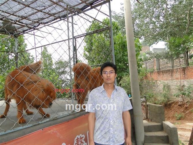 188心灵相约的第1张照片