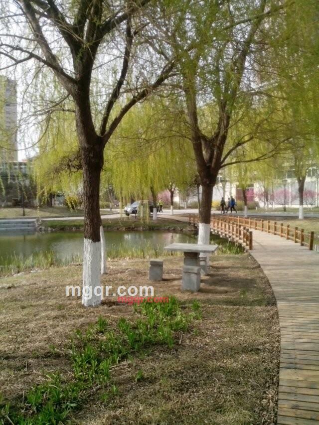 nibb的第1张照片