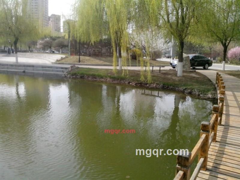 nibb的第2张照片