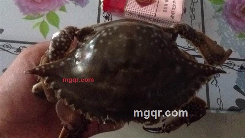 大叔的叔叔的第3张照片