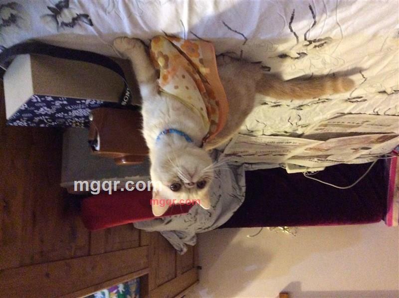 张夏雨的第1张照片