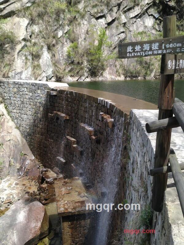 丅t101888的第3张照片