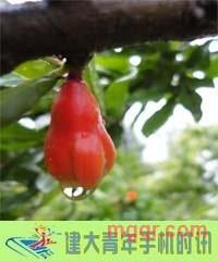 阿飞有*的第1张照片