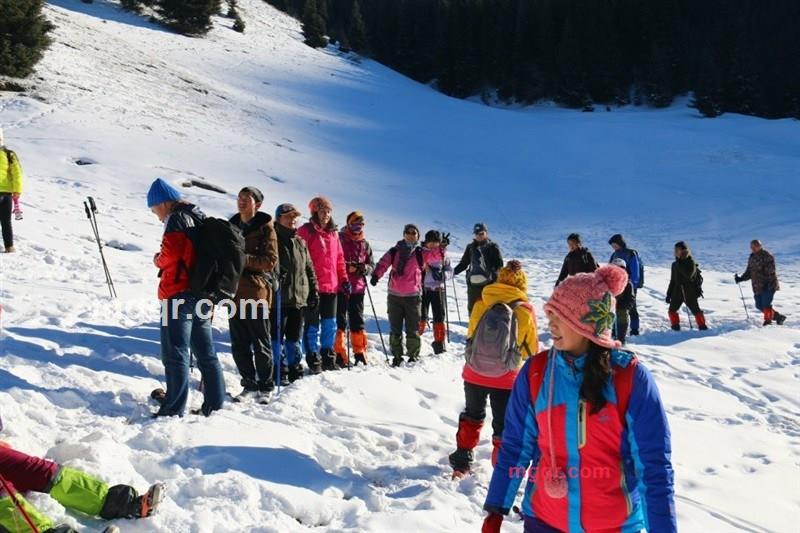 天山苍狼65的第1张照片