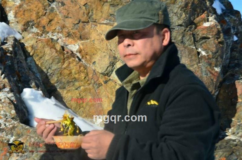 天山苍狼65的第3张照片