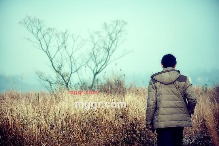 郊外的第1张照片