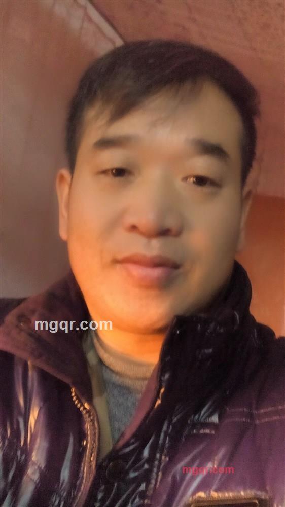 短信情愿的第1张照片