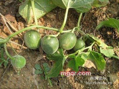 kejihao的第20张照片