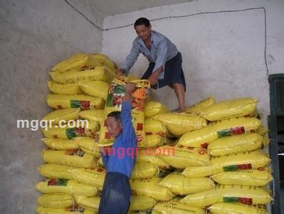 kejihao的第19张照片