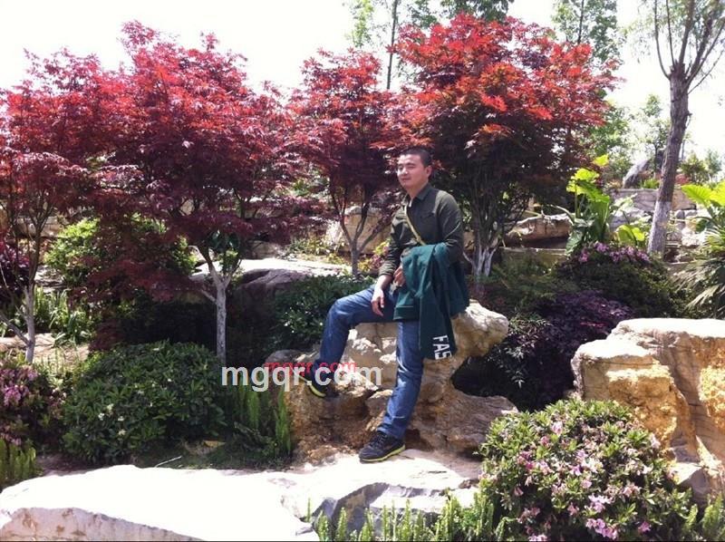 我们一起约会吧的第1张照片