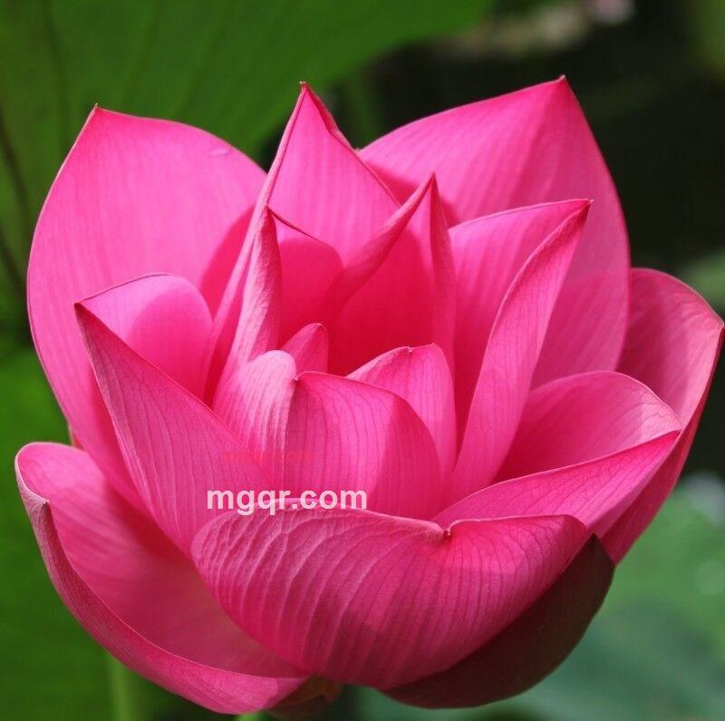 www3813的第1张照片