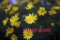 左右视觉的第2张照片