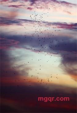 黑暗的第1张照片