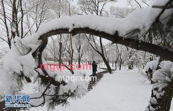 大哥哥小妹子的第2张照片