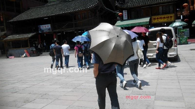 随风逐爱的第9张照片