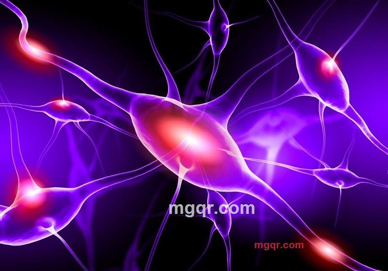 苏格拉底伯爵的第13张照片