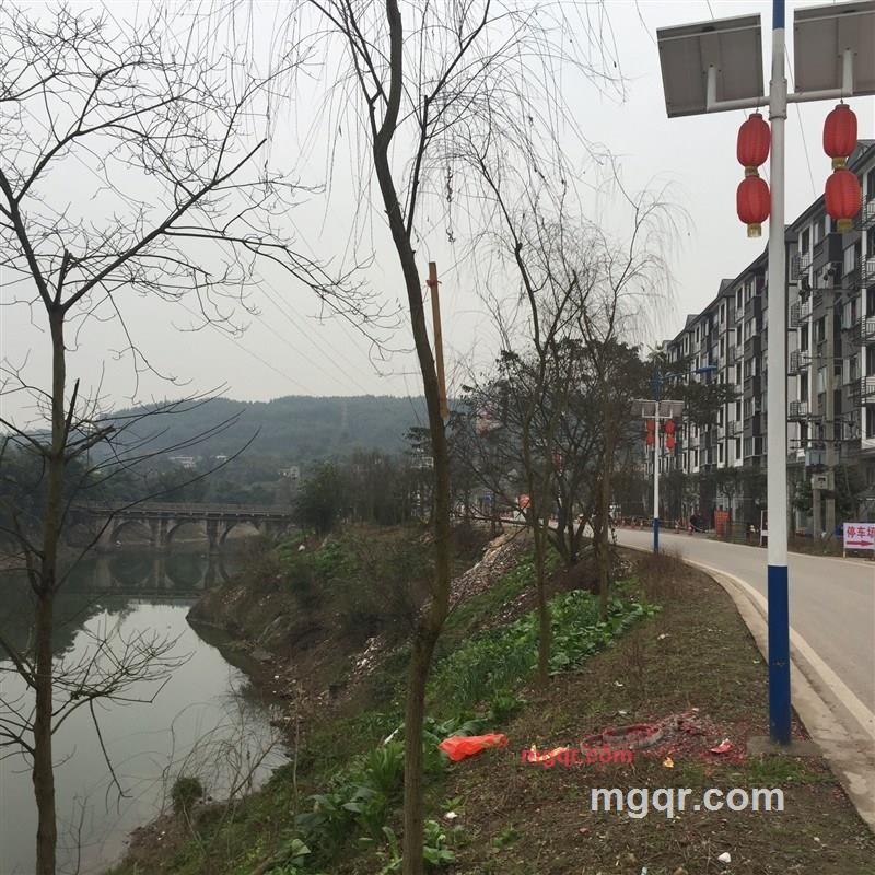 老老老的第2张照片