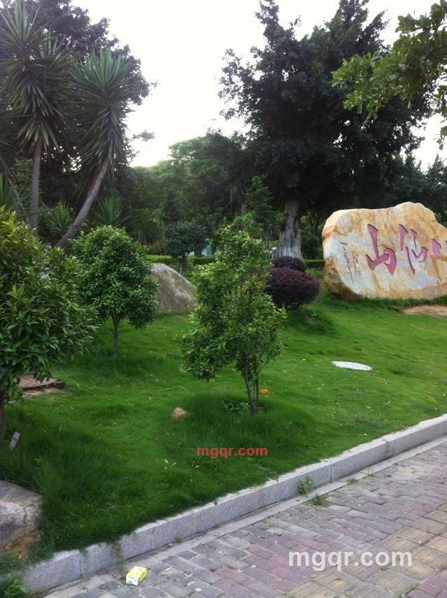 死心的爱的第1张照片