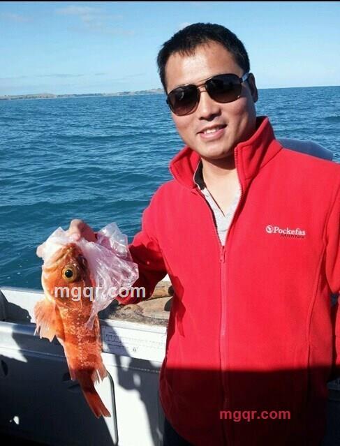 传奇2014的第2张照片