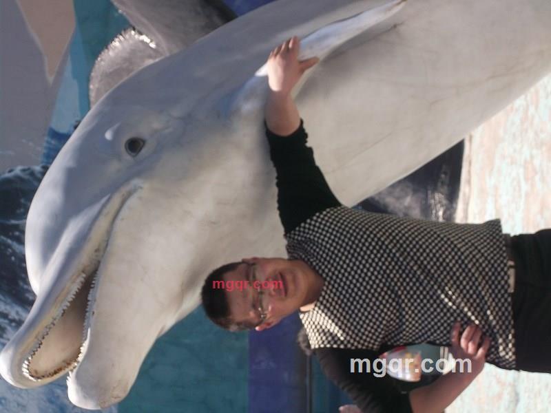 tcw26的第2张照片