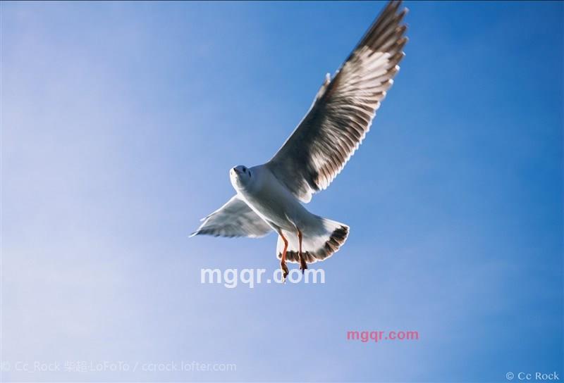 顺流而下了的第1张照片