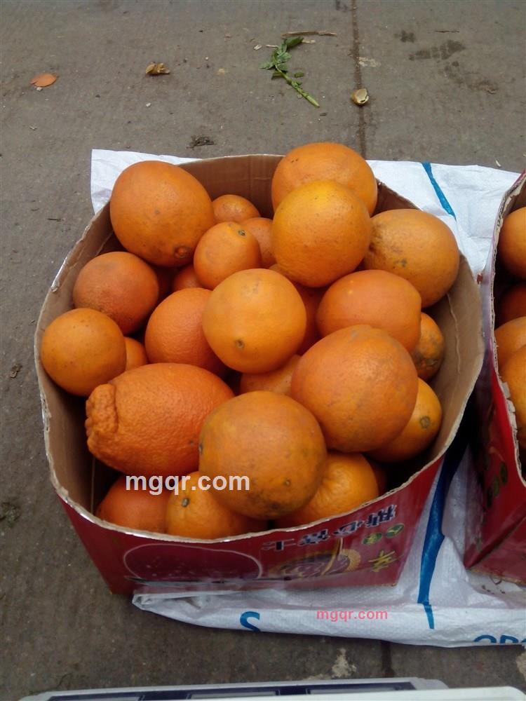 潇潇的第4张照片