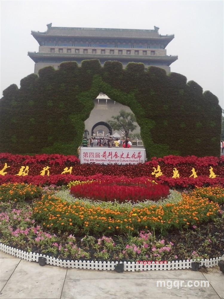 燕在胡同飞的第4张照片