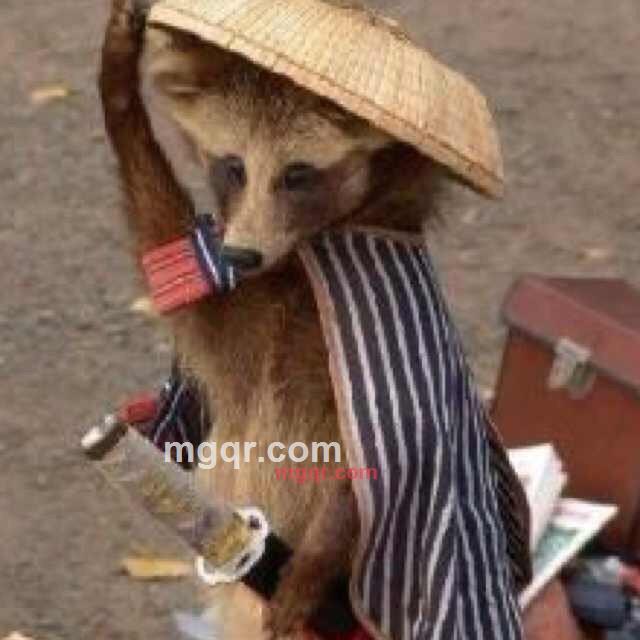 苍鹰的第1张照片