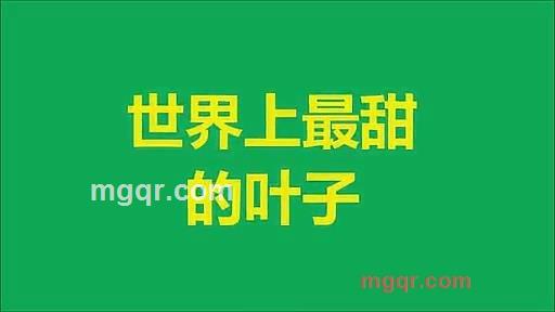 kejihao的第5张照片