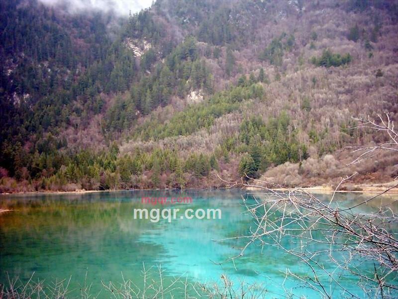 joeyuan0425的第2张照片