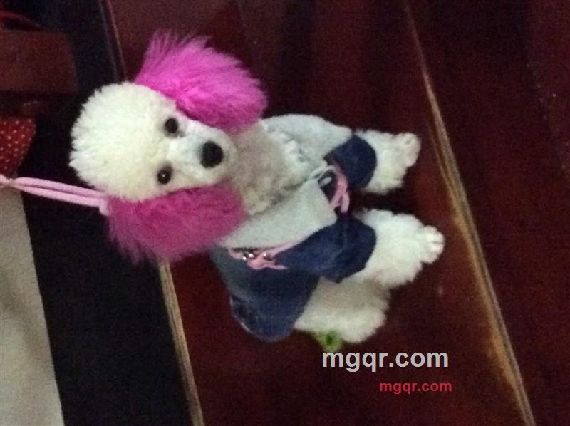 la啦拉的第2张照片