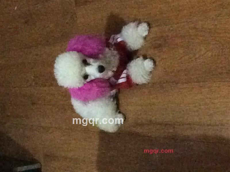 la啦拉的第1张照片