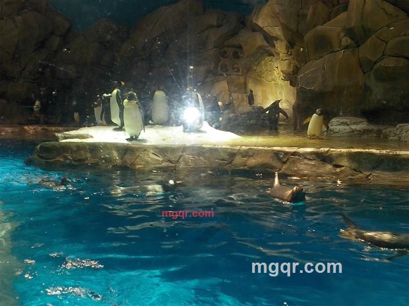 白展堂2003的第6张照片