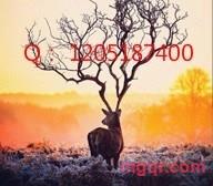 火烧赤壁的第1张照片