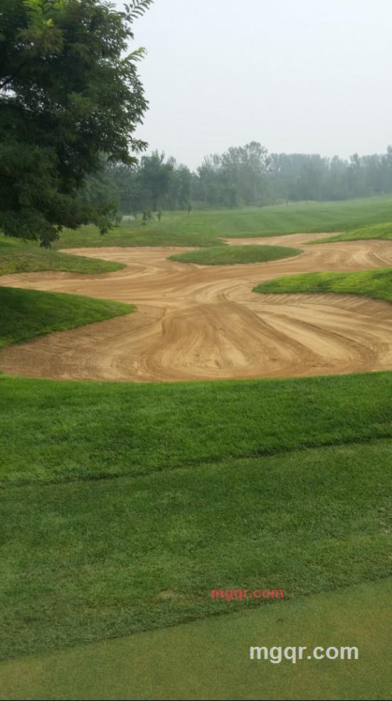 dinghaining的第3张照片