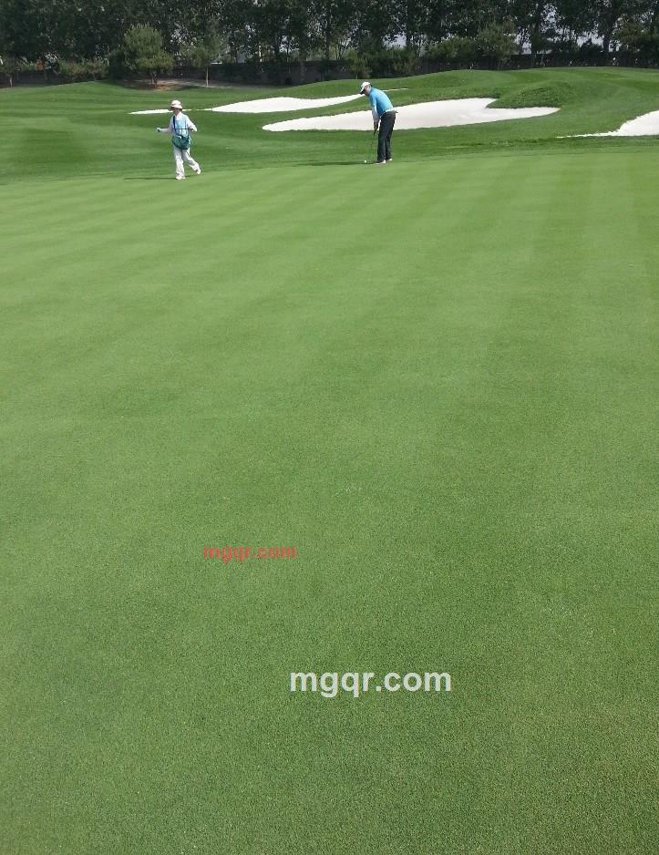 dinghaining的第1张照片