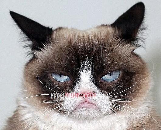 深度撞击的第1张照片