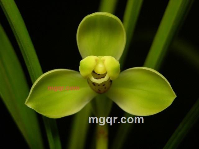 漓水独秀的第3张照片