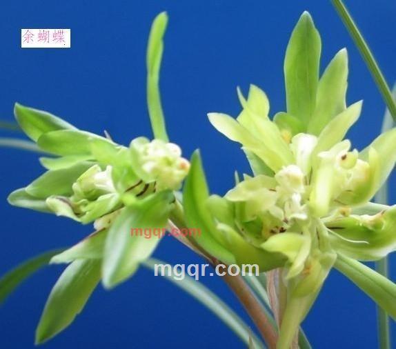 漓水独秀的第2张照片