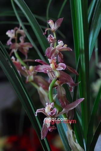 漓水独秀的第1张照片