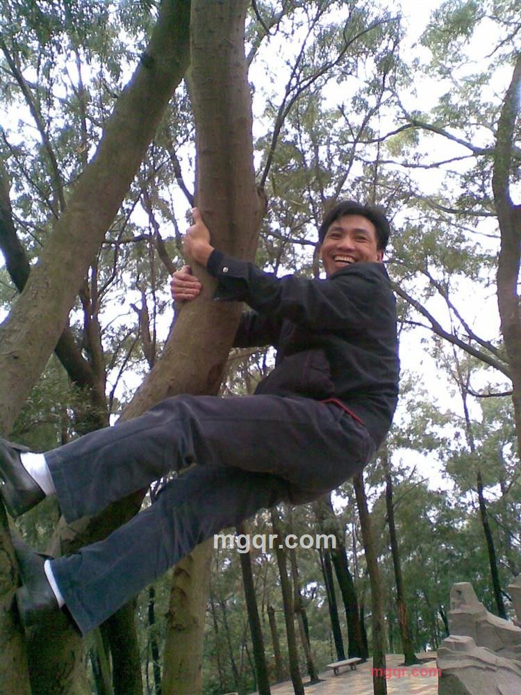 开富贵花的第4张照片